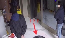 李靓蕾深夜爆料视频播放,揭秘娱乐圈背后的真相