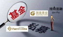 最新爆料私募基金公司,业绩飙升背后的秘密解析